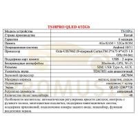 10 дюймов TS18A PRO QLED 4/32Gb